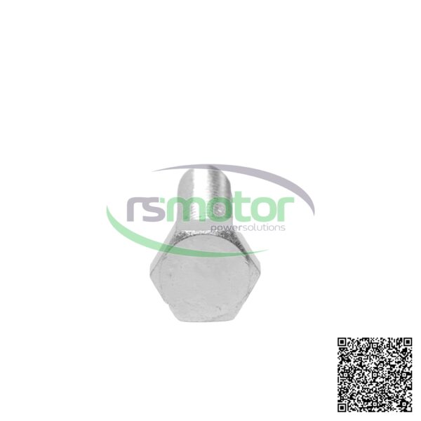Hexagon Bolt MWM RS-01112550 - Image 4