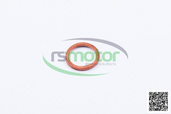 Sealing Ring MWM RS-01118659 - Image 2