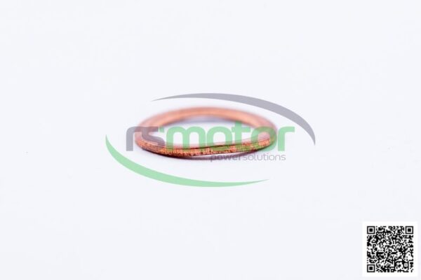 Sealing Ring MWM RS-01118659 - Image 3