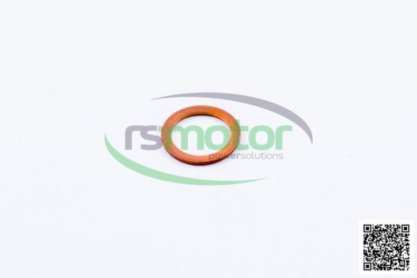 Sealing Ring MWM RS-01118664 - Image 2