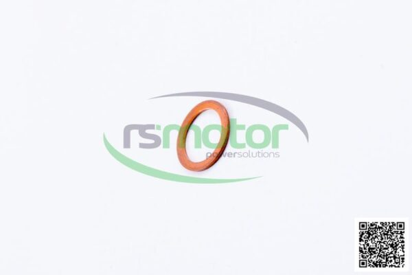 Sealing Ring MWM RS-01118664 - Image 5
