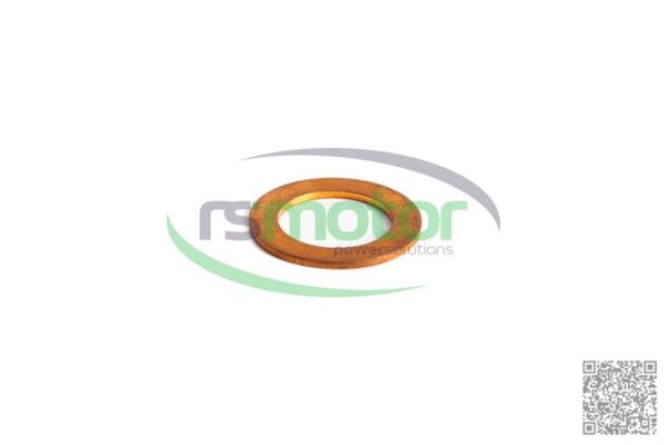 Sealing Ring MWM RS-01118669 - Image 2
