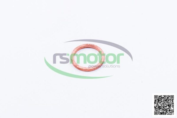 Sealing Ring MWM RS-01118688 - Image 2