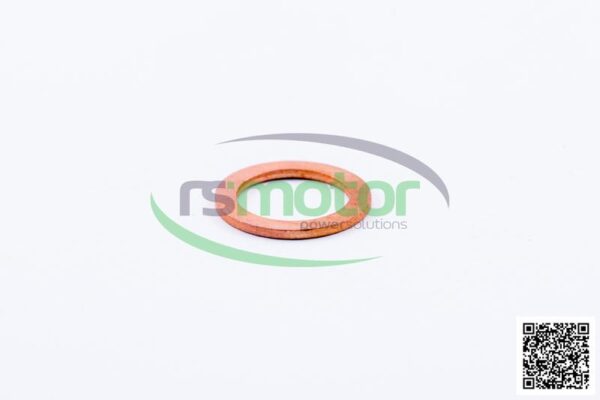 Sealing Ring MWM RS-01118693 - Image 2