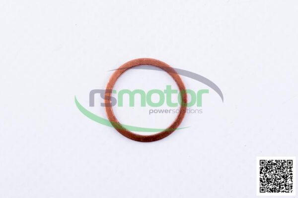 Sealing Ring MWM RS-01118700 - Image 2