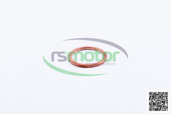 Sealing Ring MWM RS-01118700 - Image 3
