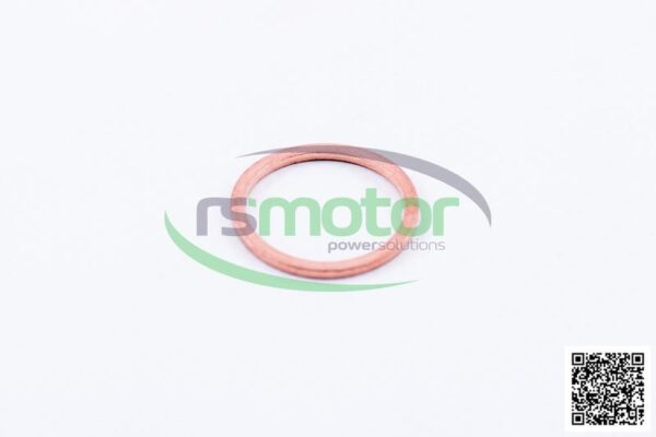 Sealing Ring MWM RS-01118713 - Image 2