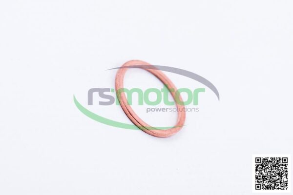 Sealing Ring MWM RS-01118713 - Image 4