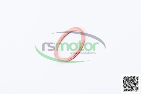 Sealing Ring MWM RS-01118713 - Image 5