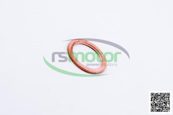Sealing Ring MWM RS-01118718 - Image 3