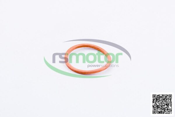 Sealing Ring MWM RS-01118727 - Image 2