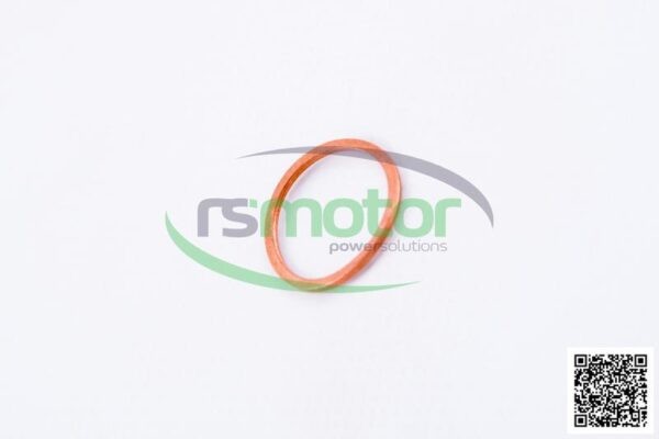 Sealing Ring MWM RS-01118727 - Image 5