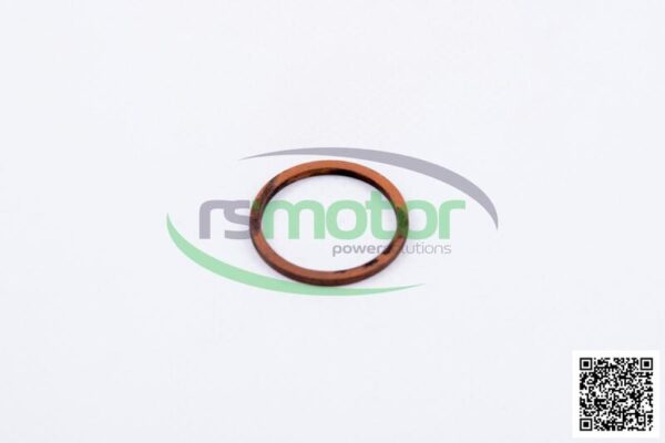 Sealing Ring MWM RS-01118748 - Image 2