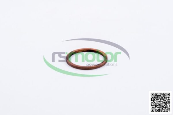 Sealing Ring MWM RS-01118748 - Image 3