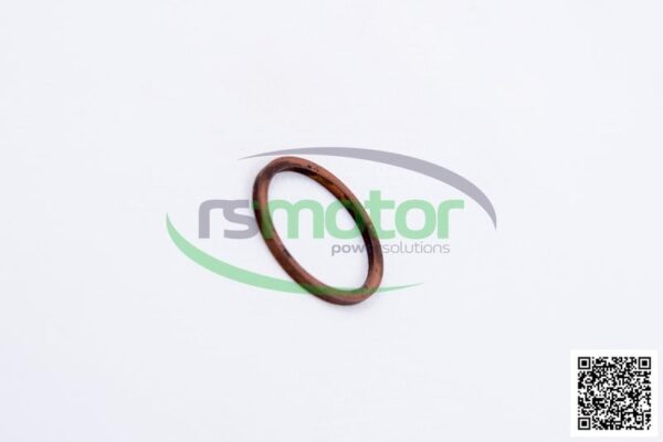 Sealing Ring MWM RS-01118748 - Image 5
