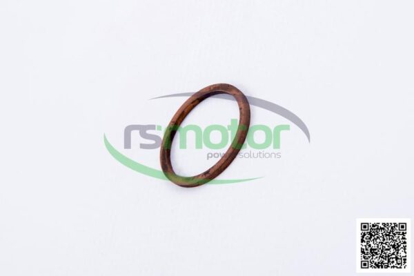Sealing Ring MWM RS-01118748 - Image 6