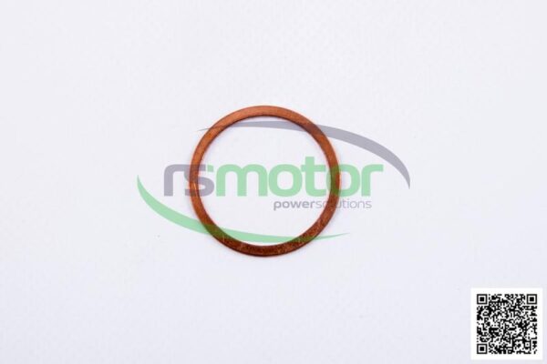 Sealing Ring MWM RS-01118784 - Image 2