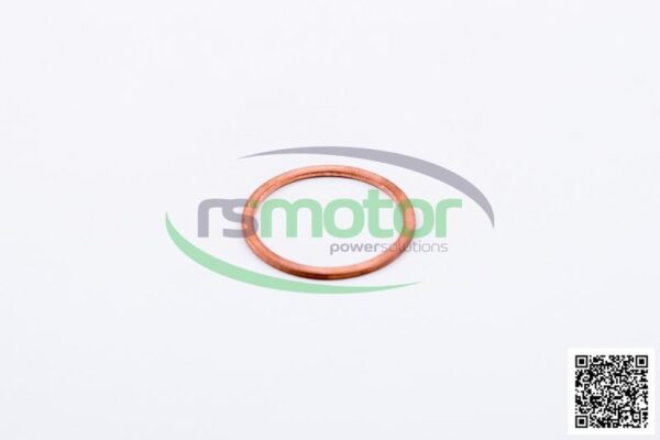 Sealing Ring MWM RS-01118784 - Image 3