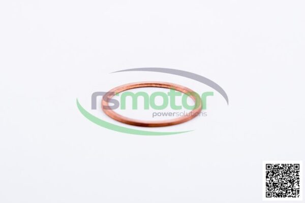 Sealing Ring MWM RS-01118784 - Image 4