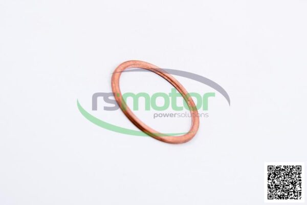 Sealing Ring MWM RS-01118784 - Image 6