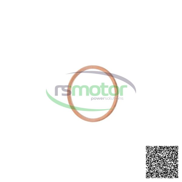 Sealing Ring MWM RS-01118830 - Image 2