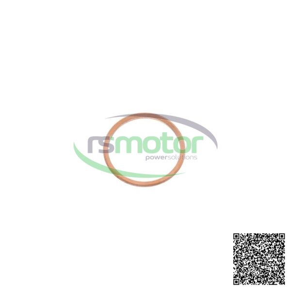 Sealing Ring MWM RS-01118830 - Image 3