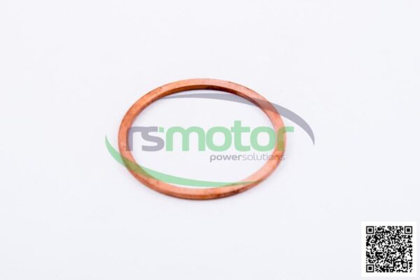 Sealing Ring MWM RS-01118841 - Image 2