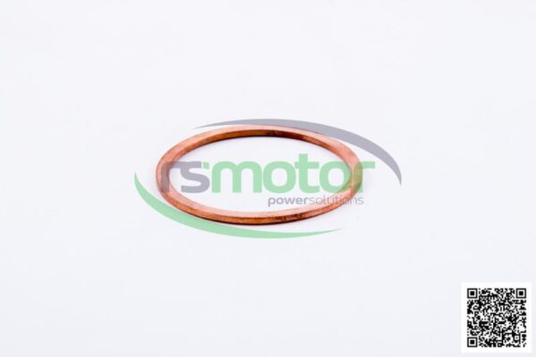 Sealing Ring MWM RS-01118841 - Image 3