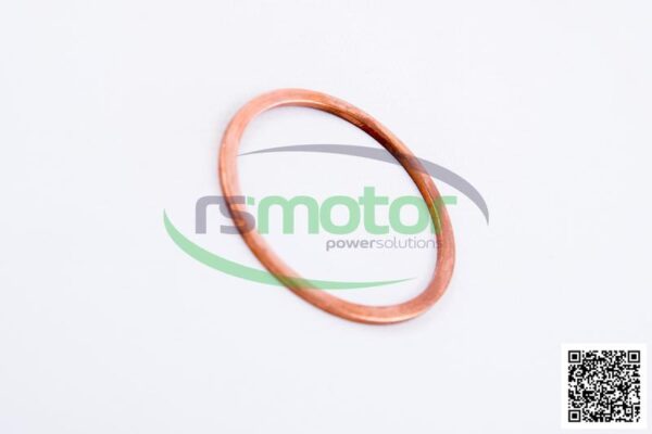 Sealing Ring MWM RS-01118841 - Image 5
