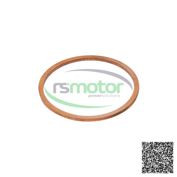 Sealing Ring MWM RS-01118859 - Image 4
