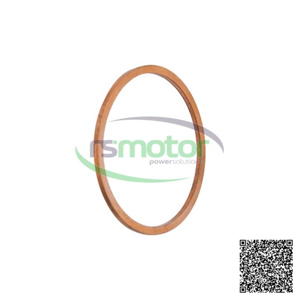 Sealing Ring MWM RS-01118859 - Image 2