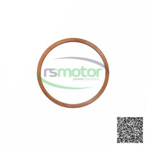 Anillo de sellado MWM RS-01118859 de color marrón, con el logo "rsmotor powersolutions" en el centro.