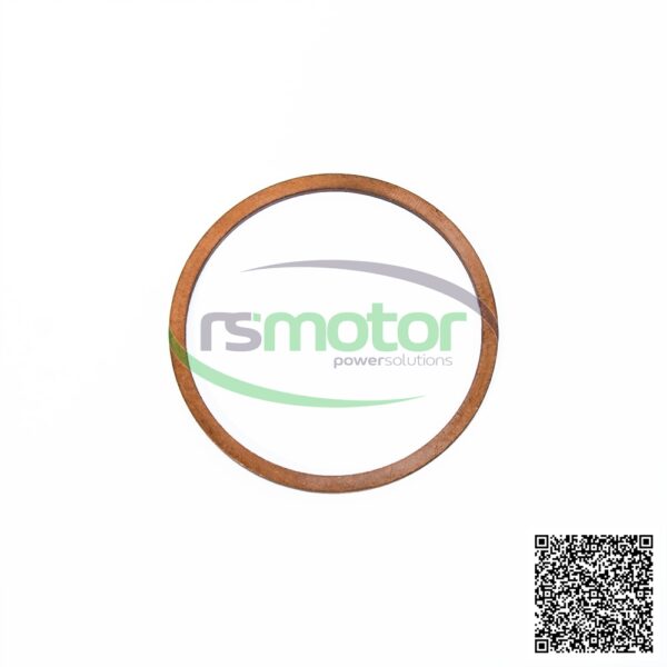 Sealing Ring MWM RS-01118859