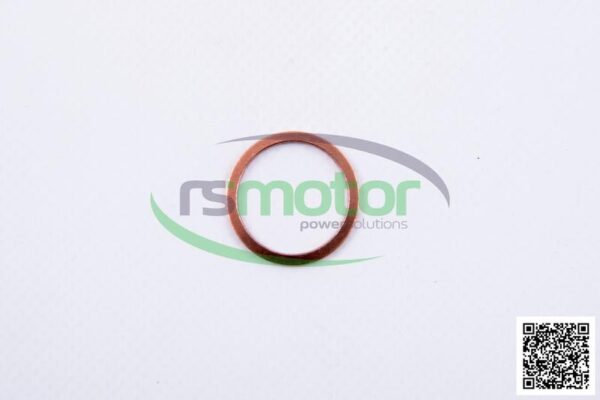 Sealing Ring MWM RS-01118943 - Image 2