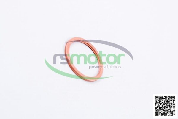 Sealing Ring MWM RS-01118943 - Image 6