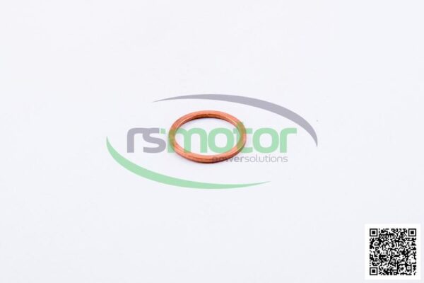 Sealing Ring MWM RS-01124010 - Image 2