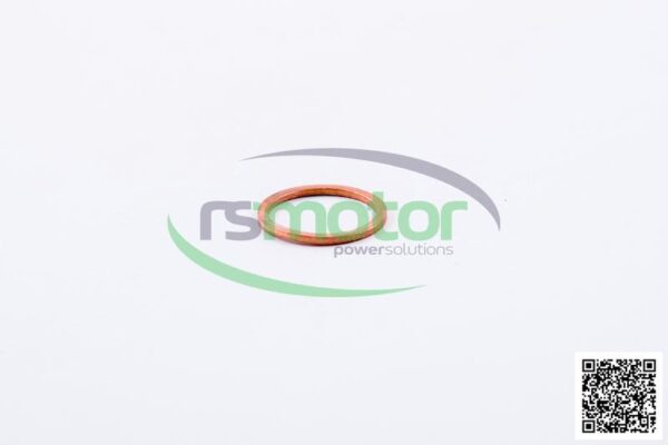 Sealing Ring MWM RS-01124010 - Image 3