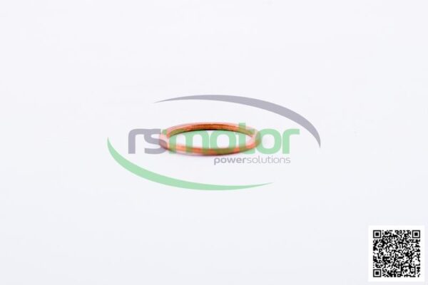 Sealing Ring MWM RS-01124010 - Image 4
