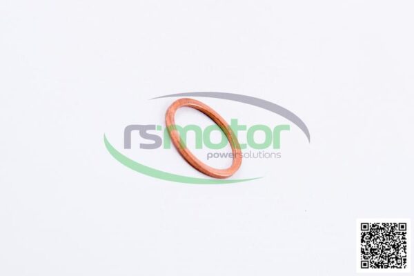 Sealing Ring MWM RS-01124010 - Image 5