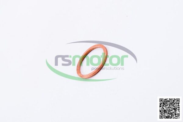Sealing Ring MWM RS-01124010 - Image 6