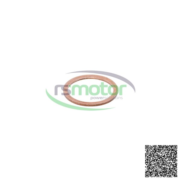Sealing Ring MWM RS-01124011 - Image 3