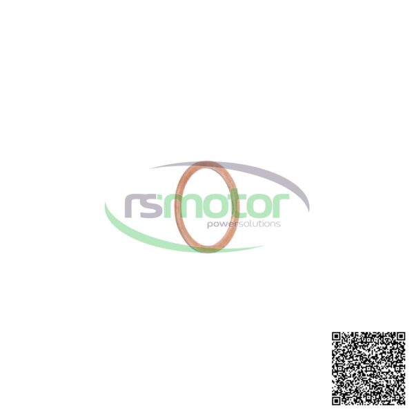 Sealing Ring MWM RS-01124011 - Image 2
