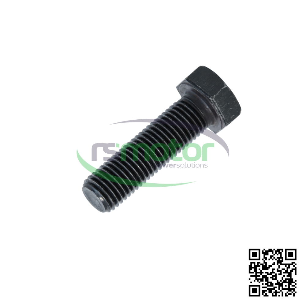 Tornillo Hexagonal MWM RS-01126193 sobre un fondo blanco con el logo de "RS Motor" y un código QR