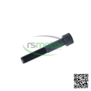 Tornillo MWM 01137283 sobre un fondo blanco y con el logo de "RS Motor" en el centro