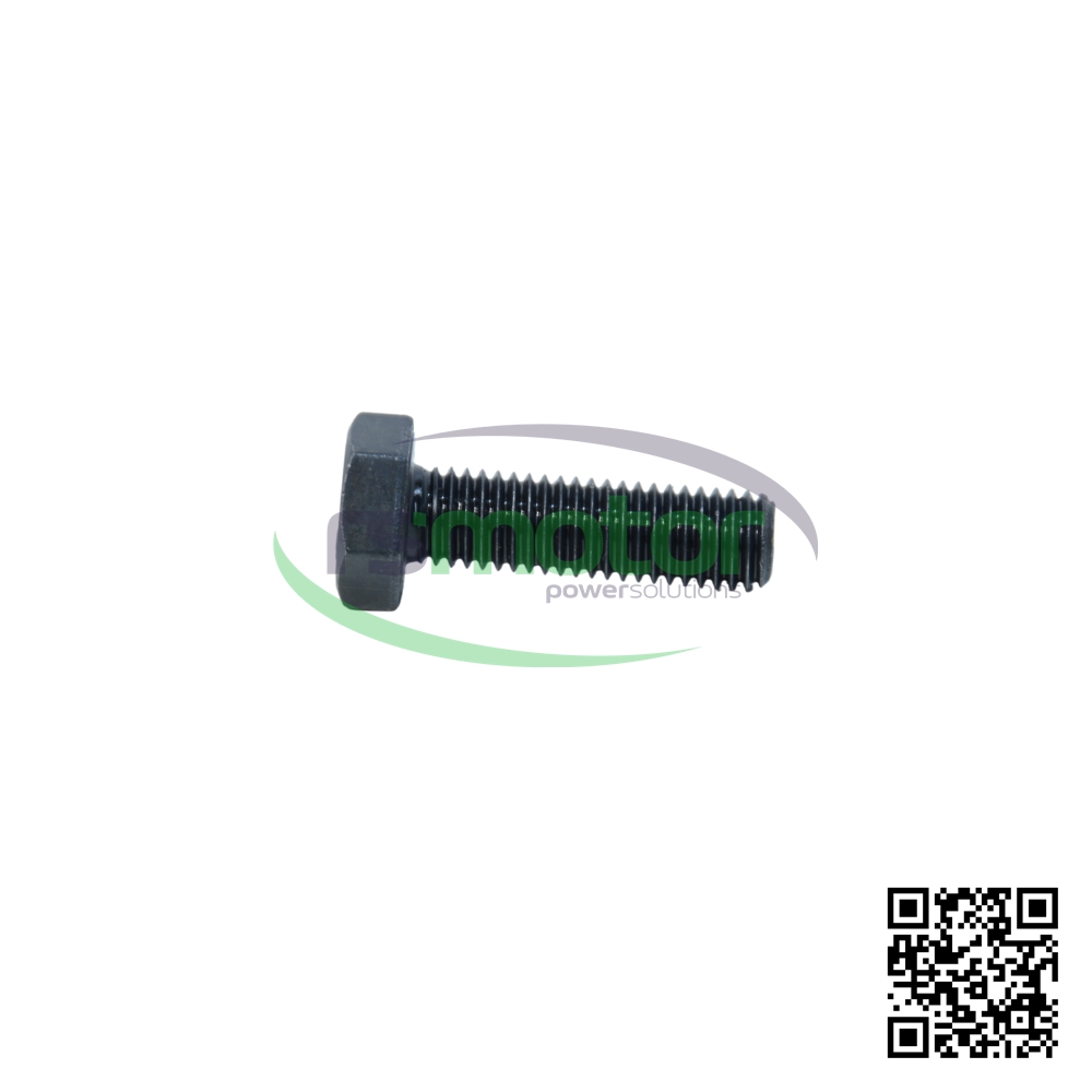 Tornillo MWM 01137389 sobre un fondo blanco y con el logo de "RS Motor" en el centro