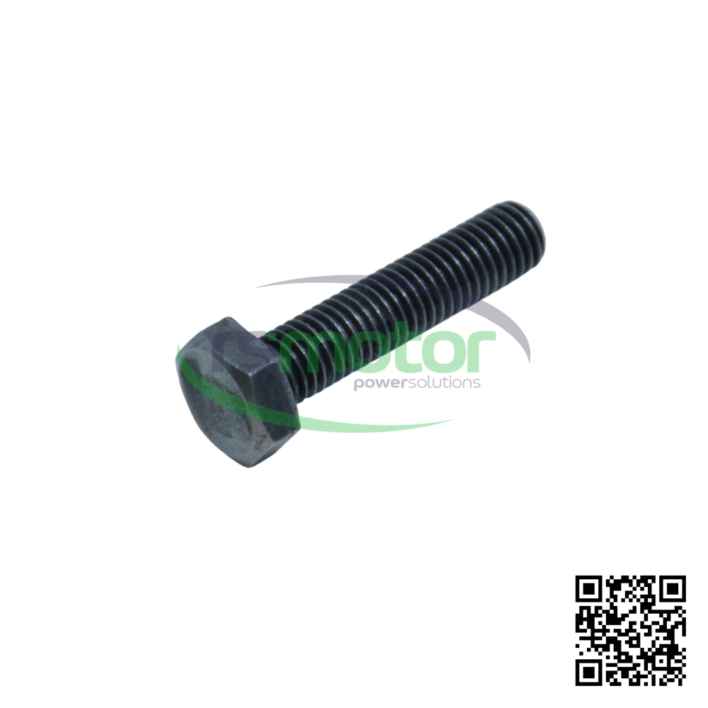 Tornillo Hexagonal MWM 01137390 sobre un fondo blanco y con el logo de "RS Motor" en el centro