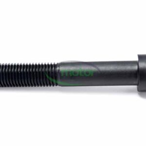 Cheese Head screw MWM RS-01138709