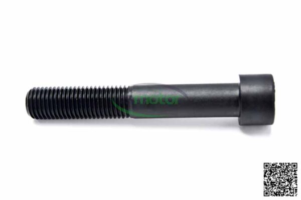 Cheese Head screw MWM RS-01138709