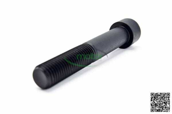 Cheese Head screw MWM RS-01138709 - Image 3