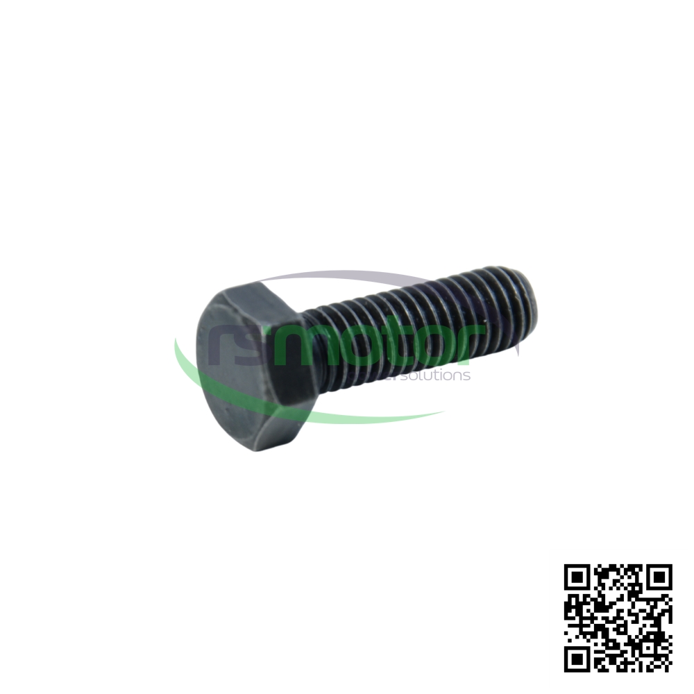 Tornillo Hexagonal MWM 01138769 sobre un fondo blanco y con el logo de "RS Motor" en el centro